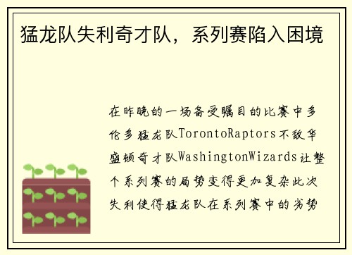 猛龙队失利奇才队，系列赛陷入困境